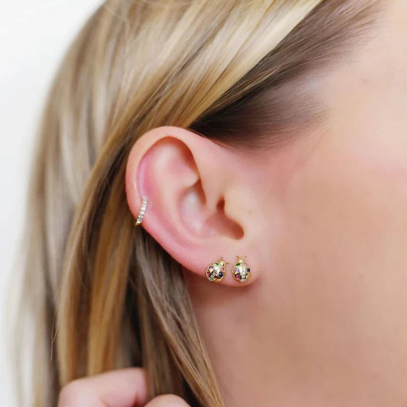 Boucles D'oreilles Coccinelle Colorée