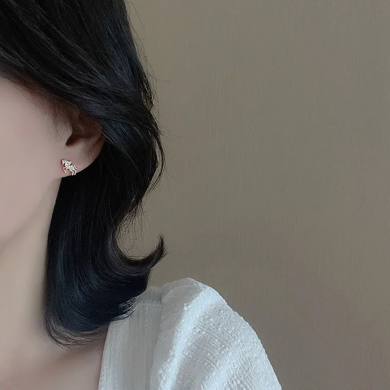 Boucles D'oreilles Cheval Mini