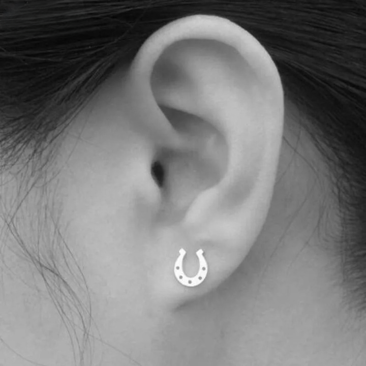 Boucles D'oreilles Fer à Cheval